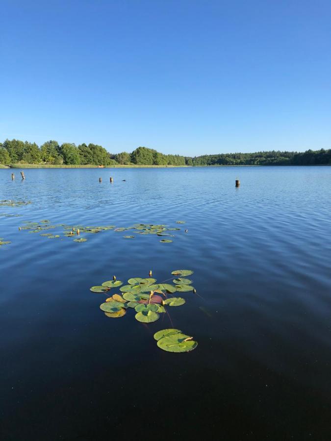 5 Sterne-Ferienhaus Eisvogel Am See Mit Sauna Und Kamin Krakow am See Esterno foto